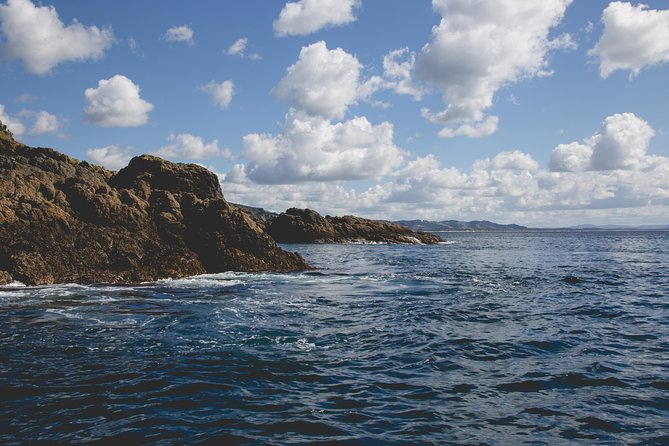 Glass Bottom Boat Tour - Price ($31.83) and value: where the money goes