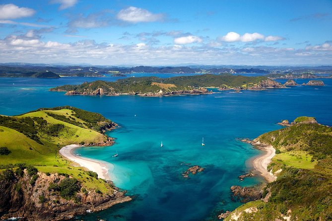 Group tour to Bay of Islands return from Auckland - Price and value: what you get for $284.84