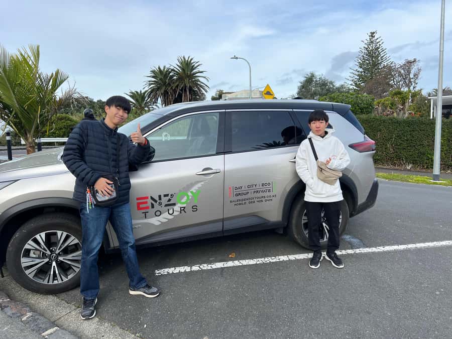 Half-Day Auckland City Highlights Tour with Hotel Pickup - Price and value: what $89 gets you (and when it’s worth it)