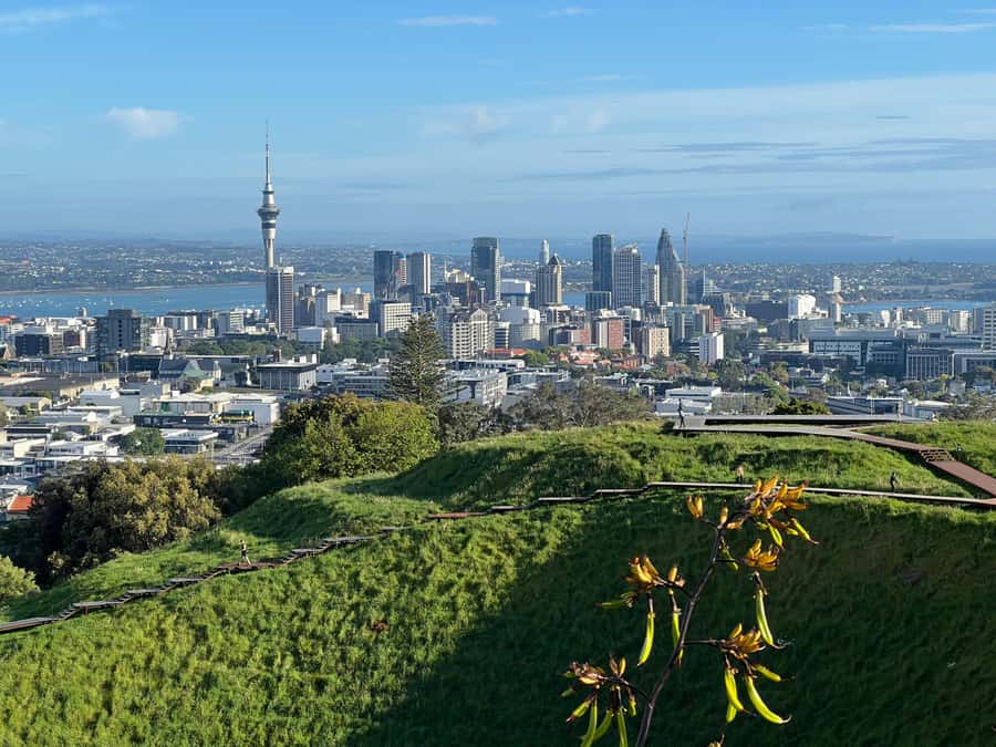 Half-Day Auckland City Highlights Tour with Hotel Pickup - From Sky Tower to the harbor bridge: city icons, no hassle