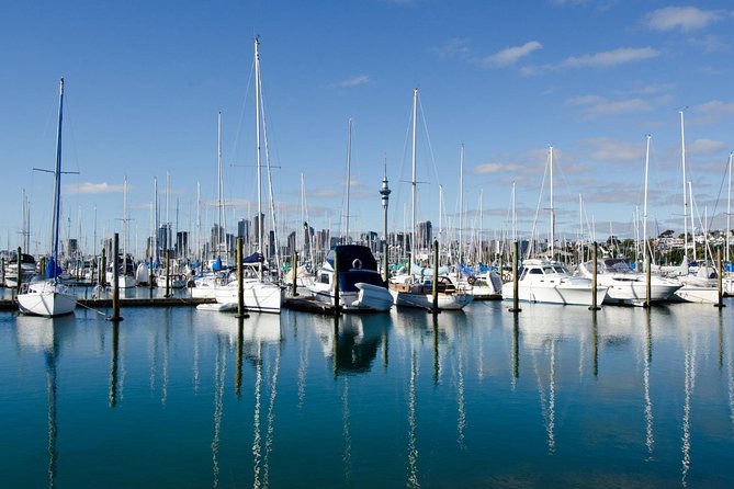 Half-day Discover Auckland City Sightseeing Tour - Westhaven Marina and the Harbour Bridge Drive