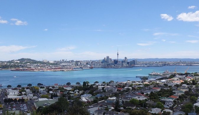 Half-Day: Small Group Auckland Scenic Tour - 4 HOURS - Key things that make this Auckland half-day tour worth your time