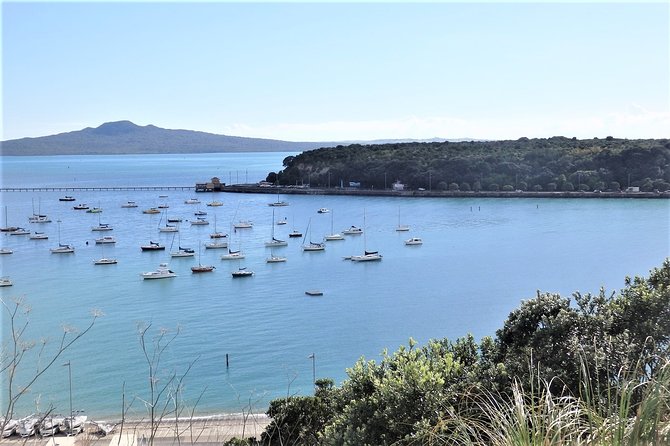 Half-Day: Small Group Auckland Scenic Tour - 4 HOURS - The Big Idea: Why this route works better than a bus-and-brief-stop day
