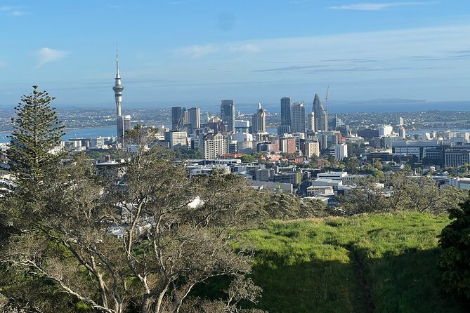 Half-Day Tour: AUCKLAND CITY Highlights with Hotel Pickup - Key things to notice before you go