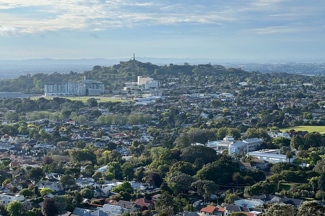 Half-Day Tour: AUCKLAND CITY Highlights with Hotel Pickup - Auckland in 3 hours: the rhythm of the route