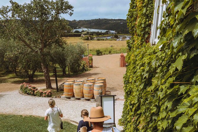 High End Sommelier Tour on Waiheke Island - Price and value: what $930.86 buys you (and when it’s worth it)