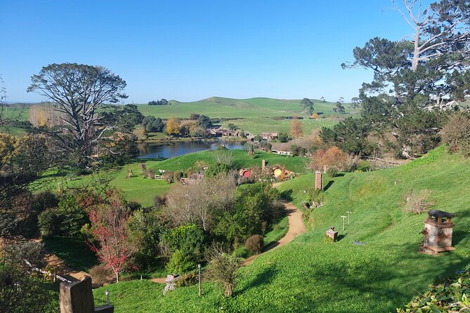 Hobbiton Afternoon Tour in Luxury Minibus from Auckland - Hobbiton Movie Set: The 2-Hour Guided Walk (With Admission Included)
