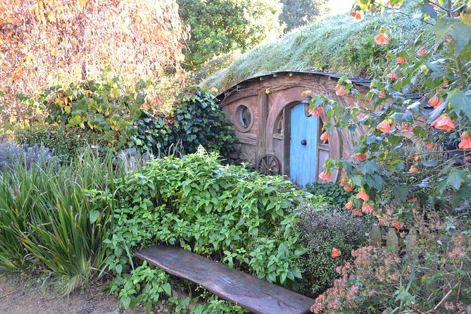 Hobbiton Movie Set Group Tour Early Access (Avoid the crowds!) - Why early access at Hobbiton changes the whole day