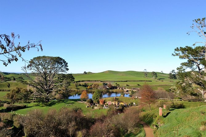 Hobbiton Movie Set Group Tour Early Access (Avoid the crowds!) - Group size and pacing: why the day feels organized
