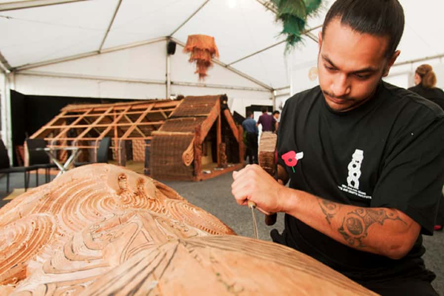 Hobbiton Movie Set & Rotorua Premium Day Tour from Auckland - Kiwi birds at Nga Manu Ahurei: what to aim for