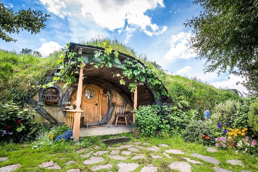 Hobbiton Movie Set & Rotorua Premium Day Tour from Auckland - The drive to Waikato: comfortable, scenic, and photo-friendly