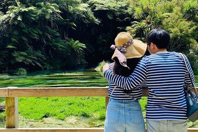 Hobbiton Movie Set tour & Glowworm Cave day tour - Waitomo Glowworm Caves: your hour underground and what to expect