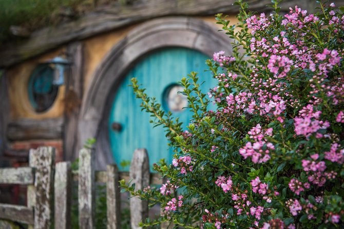 Hobbiton Movie set & Waitomo Caves Small Group Tour From Auckland - Key Reasons People Love This Hobbiton + Waitomo Day