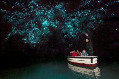 Hobbiton Movie Set & Waitomo Glow Worm Caves Private Tour - Inside The Shire: Hobbit Hole Time and Set-Spotting Tips