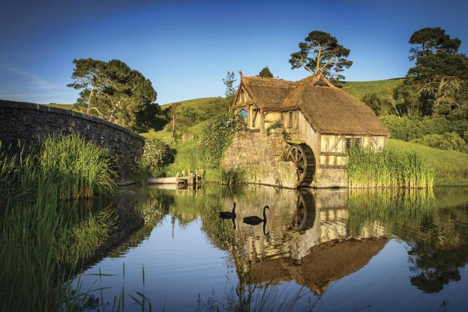 Hobbiton & Waitomo Caves Guided Day Trip from Auckland incl lunch - Waitomo Glowworm Caves: The Boat Ride That Actually Feels Like Magic