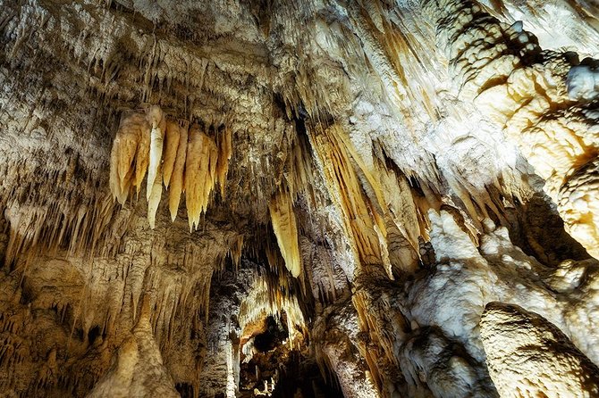 Hobbiton & Waitomo Caves Small Group Tour from Auckland inc Lunch - Lunch in Otorohanga: a scheduled fuel stop, not an optional detour