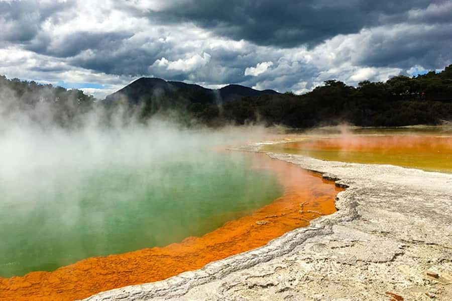 Hobbiton, Waitomo, Rotorua & Taupo 2-Day Tour from Auckland - A “big stop” to reset: Big Bird and a short off-route break stop
