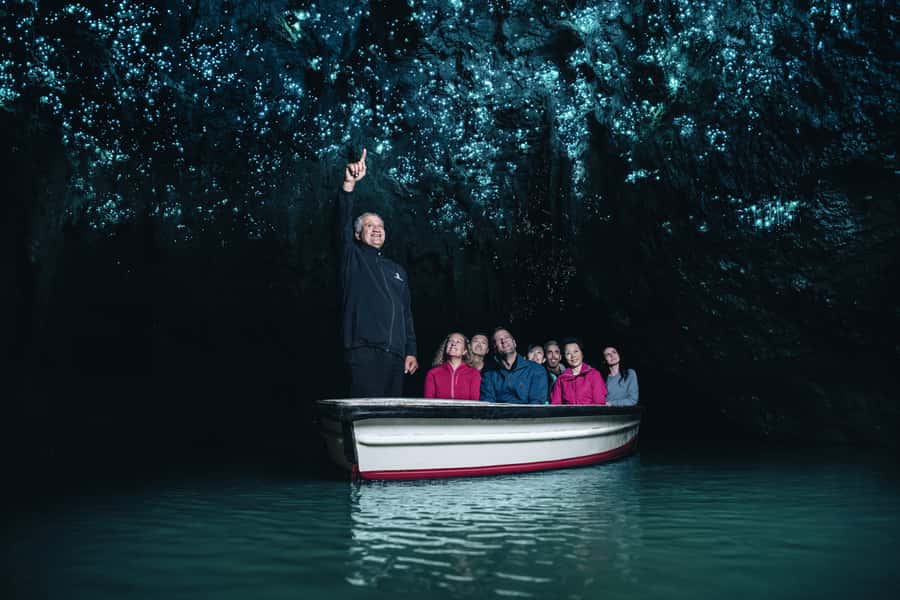 Magical Hobbiton & Waitomo Caves Small Group from Auckland - Auckland to Waikato: the scenic drive part is not filler