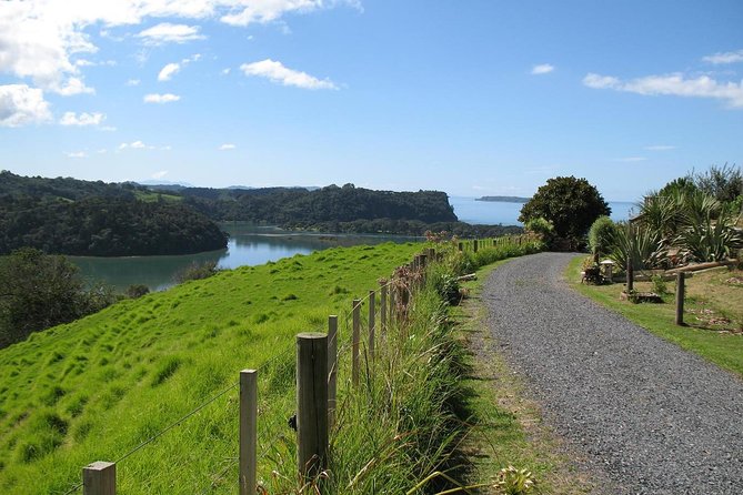 Matakana Scenic Coastal Getaway from Auckland - Key things that make this tour a smart Matakana choice