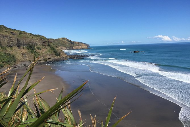 Muriwai Scenic Wine Tour from Auckland - Why Muriwai plus wine is such a smart Auckland combo