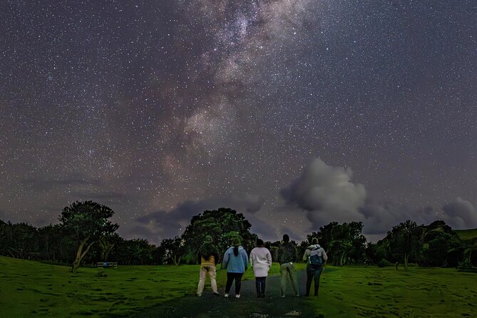 Nocturnal Wonders Tawharanui Kiwi Spotting and Stargazing Tour - Kiwi Discovery Adventure: How You Search for Clues in the Dark