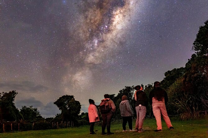 Nocturnal Wonders Tawharanui Kiwi Spotting and Stargazing Tour - Price and Value: Is $93.09 Worth It?