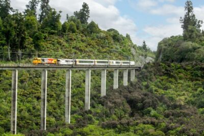 Northern Explorer Train Journey from Auckland to Wellington - Award-winning carriages and the open-air viewing deck