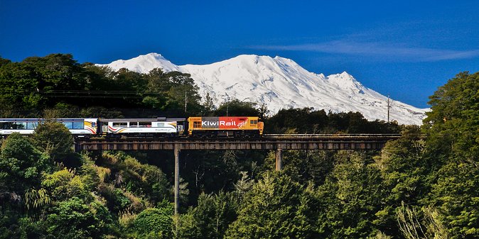 Northern Explorer Train Journey from Auckland to Wellington - Cafe carriage time: meals, snacks, and what to bring