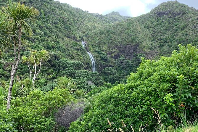 Piha Waitakere Rainforest Wine Tour from Auckland - Westbrook Winery in Waimauku: second tasting and a chance to buy
