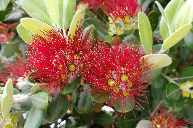 Piha Waitakere Rainforest Wine Tour from Auckland - How much wine will you actually get?