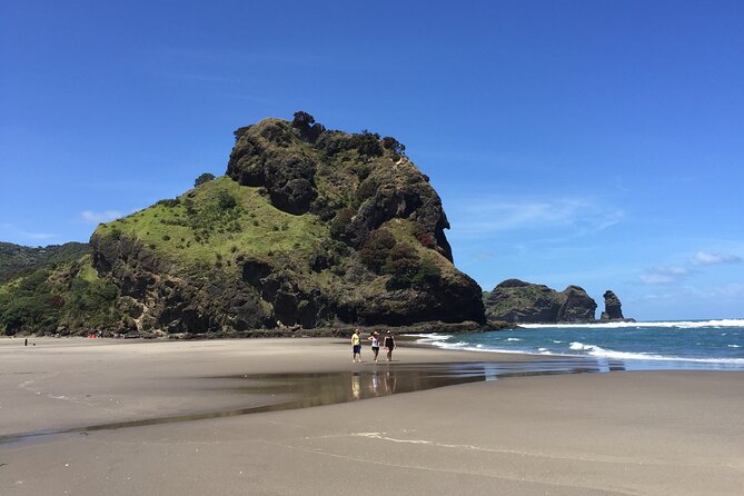 Piha Waitakere Rainforest Wine Tour from Auckland - Logistics and comfort: what to bring, what to wear, and how the day flows