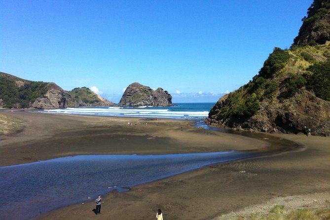Piha Waitakere Rainforest Wine Tour from Auckland - Piha Beach: black sand, surf energy, and what to do in 45 minutes