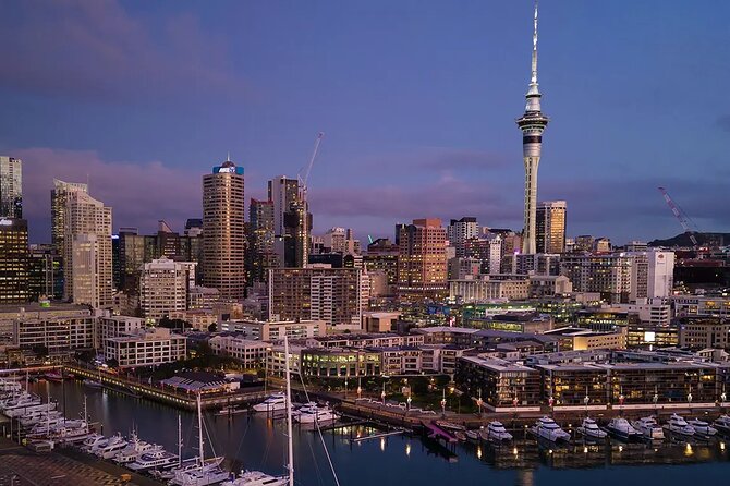 Private Auckland Airport Transfer to/from Auckland Hotels -SUV - The One Thing to Watch: Communication Right After Landing