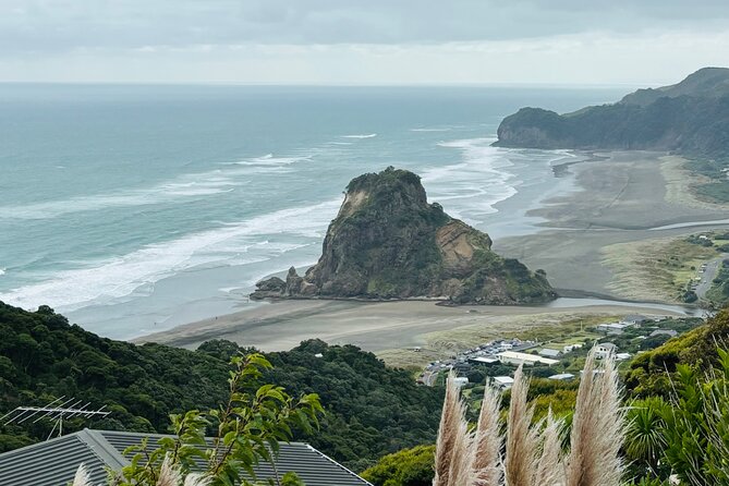 Private Auckland best Spots + Piha beach and rainforest day Tour - Key Things You’ll Notice Right Away