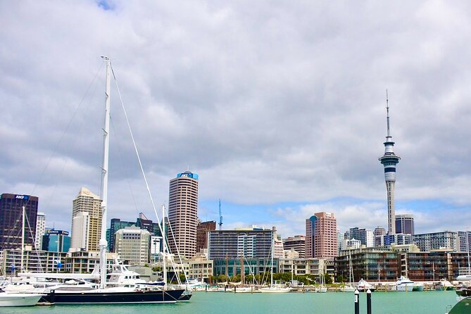 Private Auckland best Spots + Piha beach and rainforest day Tour - Westhaven Marina: Boating Culture Right by Downtown