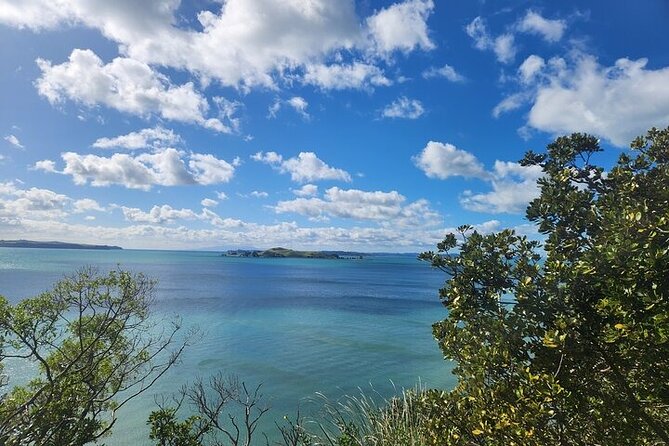 Private Auckland Best Top 5 Spots Half day Tour - Mt Eden Crater Walk: The Best Payoff for Short-Time Views