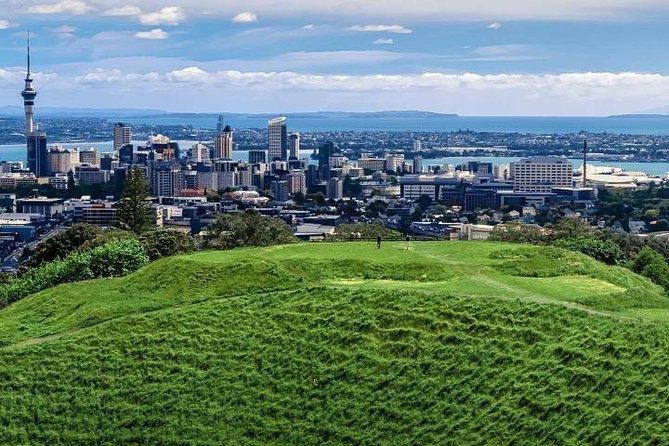 Private Auckland City Tour For Small Group in a luxury vehicle. - Auckland Museum and the Winter Gardens: Culture With a Time Budget