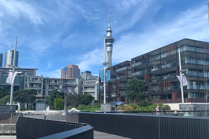 Private Auckland City Tour Including Auckland Tour House Visit - Four Hours of Auckland That Actually Makes Sense