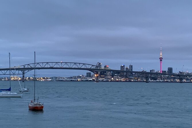 Private Auckland City Tour Including Auckland Tour House Visit - Stop 4: Mount Victoria Reserve, Harbor Bridge Crossing, and the Disappearing Gun View