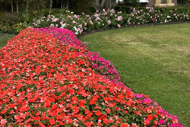 Private Auckland City Tour Including Auckland Tour House Visit - Why the Route Works: Views Plus Neighborhood Time