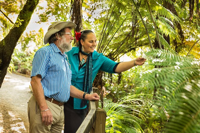 Private Auckland Half Day Tour - Guide Style: Warm Welcome and Lots of Practical Storytelling