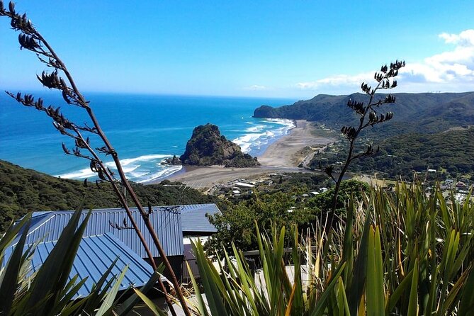 Private Auckland Sightseeing - Full Day/Half Day Hidden Gems Tour - Key Things You’ll Like Right Away