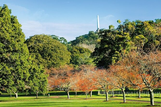 Private Auckland Sightseeing - Full Day/Half Day Hidden Gems Tour - Mercer Bay Loop Walk and the Arataki Visitor Centre Connection