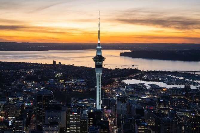 Private Auckland Sightseeing - Full Day/Half Day Hidden Gems Tour - Volcanic Peaks in the City: Mount Eden and One Tree Hill Views