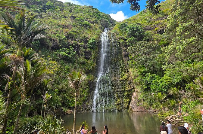 Private Auckland West Coast Tour Piha Beach and Karekare Falls - Guides and pacing: why the day can feel personal