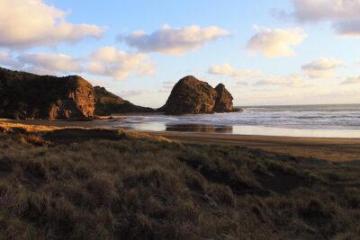 Private Auckland's West Coast - Piha/ Muriwai - Wild West Tour - Piha Beach: black sand, a lookout mindset, and serious surf energy