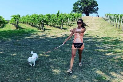 Private Dog Friendly Wine Tour with your Local Guide - Stop 1 in Oneroa: coffee, shops, and Oneroa Beach walks