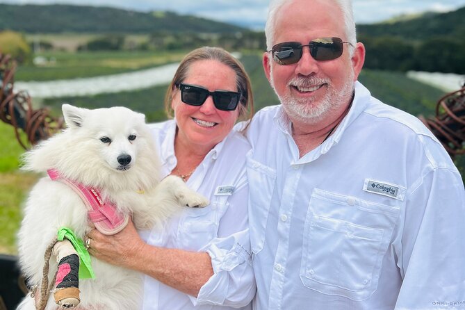 Private Dog Friendly Wine Tour with your Local Guide - Lunch stop: where you refuel and reset your day