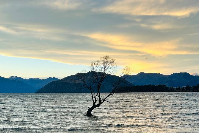 Private Driver Hire – Full-Day Touring-Auckland/Rotorua/Hamilton - Key points to know before you book