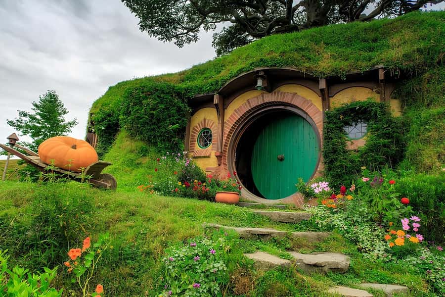 Private Hobbiton & BlueSprings & Redwood forest fromAuckland - Quick hits before you go